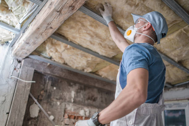 Best Commercial Insulation in Blue Jay, OH