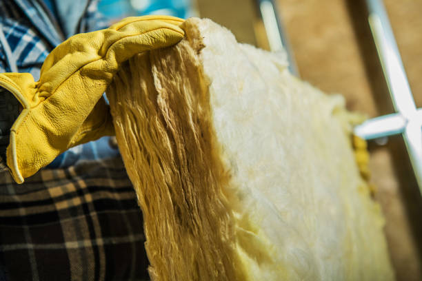 Best Specialized Insulation Services in Blue Jay, OH